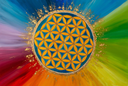 Blume des Lebens_Website.webp